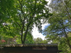 IMG 20200607 134828